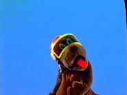 Puppet Wags in a helmet