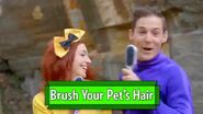 Title card of Brush Your Pet's Hair from Invisible Lachy