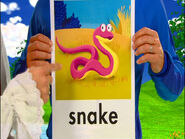 A picture of a snake