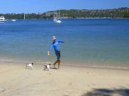 Anthony, Fergus and Junior Field