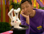 Mr. Rabbit in "Directions"