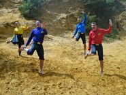 The Wiggles in a sandy area