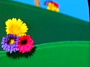 Dorothy introducing "A Frog Went A Walking" off-screen