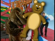 Teddy Bear transition