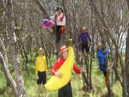 Murray dressed up as a banana