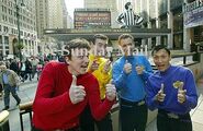 The Wiggles at Madison Square Garden