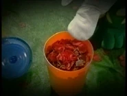 Compost in Dorothy's flashback