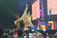 Wags doing a cartwheel at a show from the 2012 Celebration Tour. (the last few shows of the original line-up.)