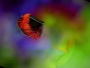 Puppet Captain's hat flying