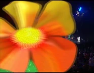 Play(akaAtPlay)FlowerTransition2.png (468 KB) Flower transition