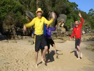 The Professional Wiggles