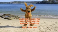 Wags the Dog's title in the end credits