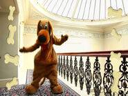 Wags in Grand Brighton hotel