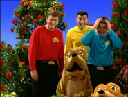 The Awake Wiggles