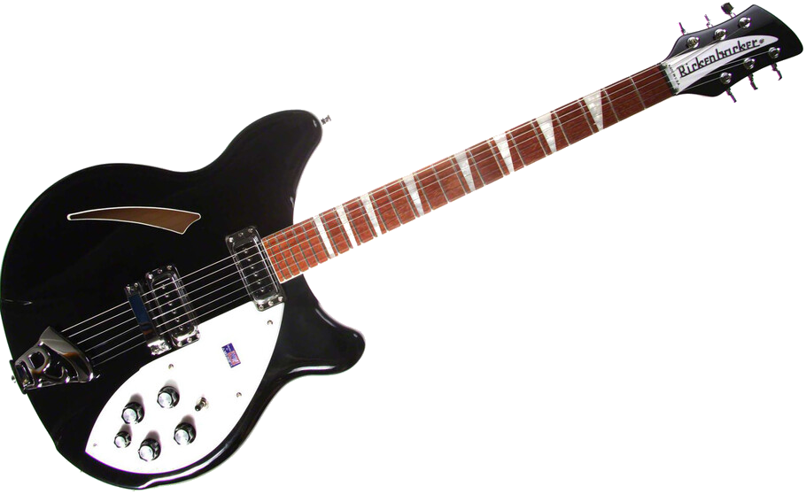 Rickenbacker 360 Deluxe Thinline Wigglepedia Fandom