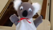 "Koala, koala, koala-by"