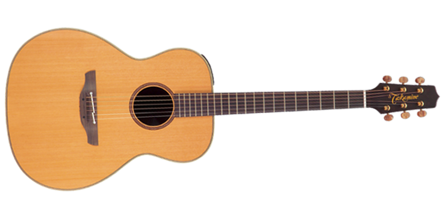 Takamine EAN70 | Wigglepedia | Fandom