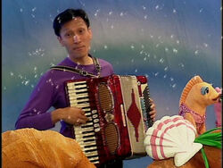 Wiggles accordion outlet