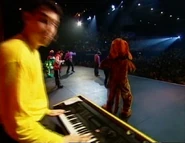 The Professional Wiggly Group