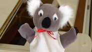 "Koala, koala, koala-by"