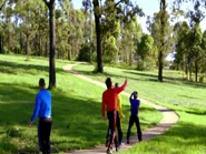 The Wiggles walking to the tree