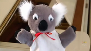 A koala puppet