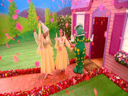 FairiesintheRain