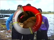 The S.S Feathersword transition