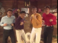 Silver blue, dark purple, goldenrod, crimson