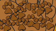 Wags' pawprints transition