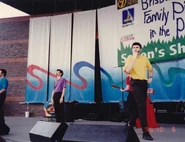 Bright Blue, Bright Purple, red, yellow