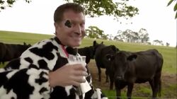 TalkingCow.jpg