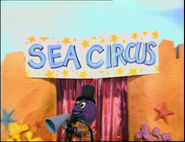 The Sea Circus