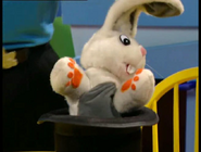 Mr. Rabbit in Imagination