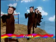 Ponies