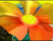 Play(akaAtPlay)FlowerTransition.jpg (40 KB) Flower transition