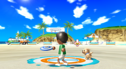 Wii Sports Resort Wii Wiki Fandom