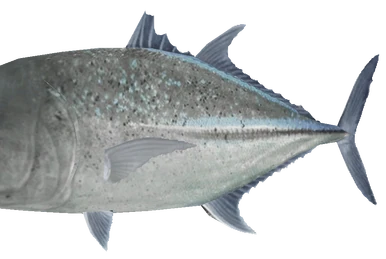 リール GIANT TREVALLY 259?cb=20230624141622