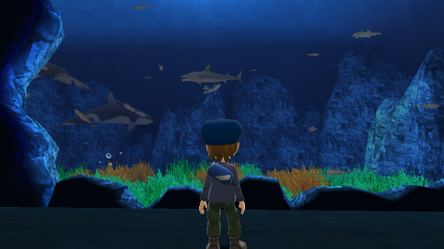 Aquarium, Wii Fishing Resort Wiki