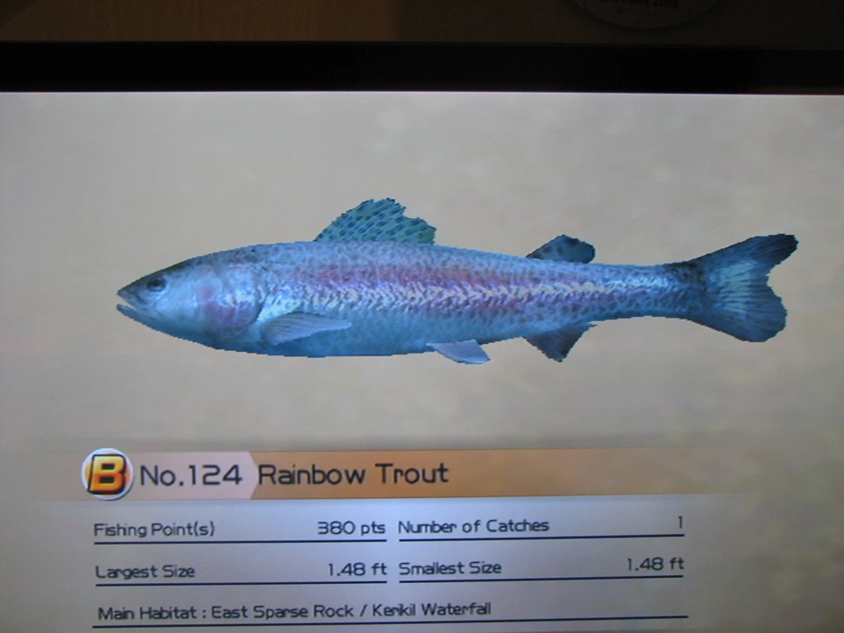 Rainbow Trout Wii Fishing Resort Wiki Fandom