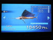 Sailfish evaluated