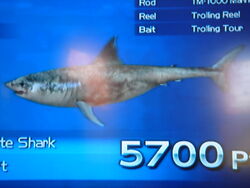 Great White Shark, Wii Fishing Resort Wiki