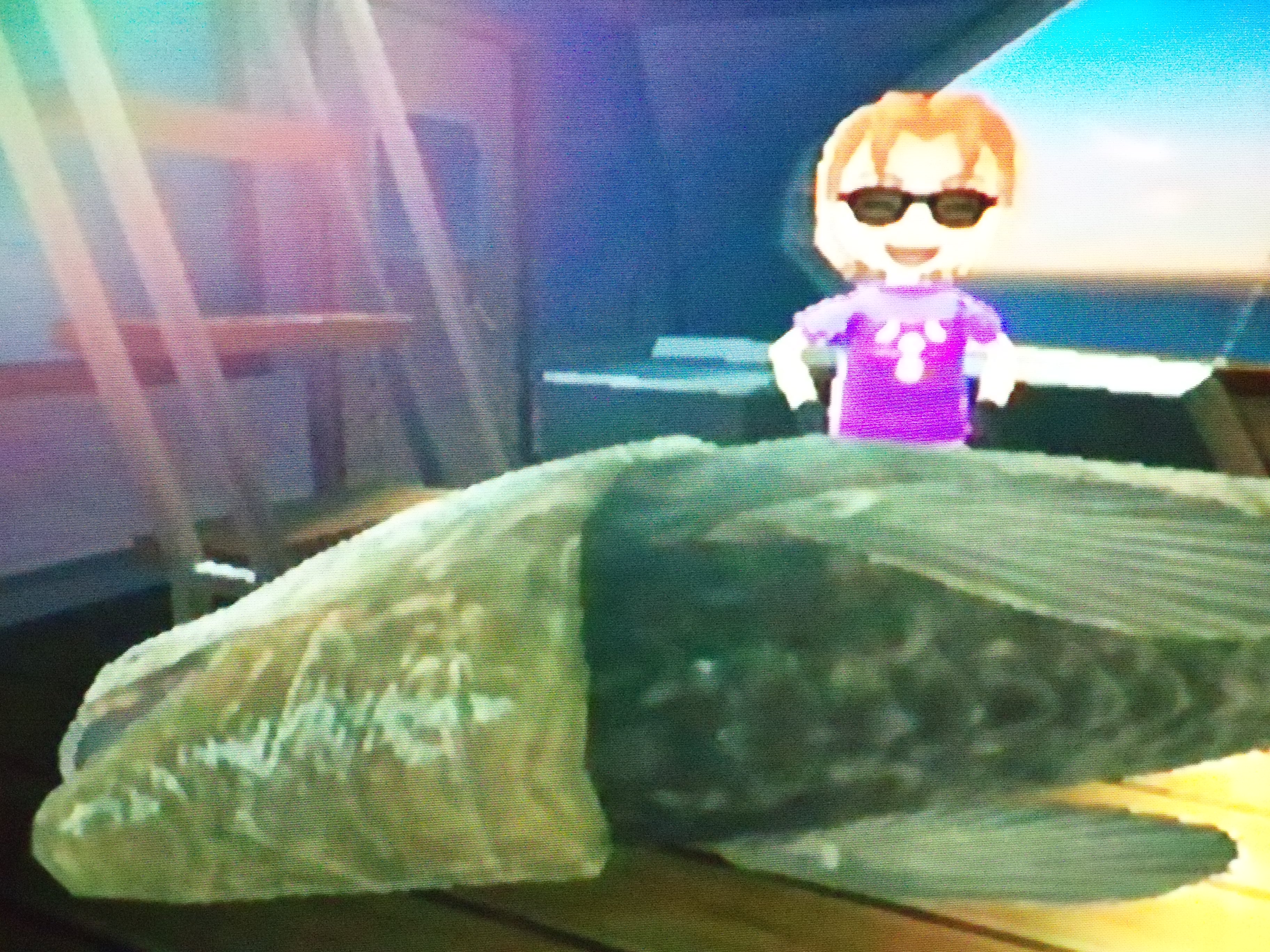 Let's Play: Fishing Resort Wii, White Sturgeon 