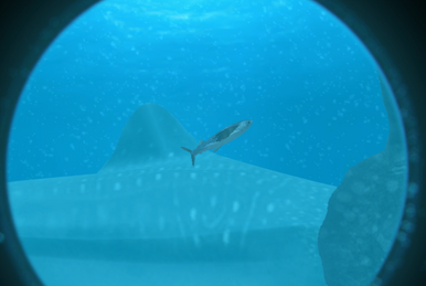 Helicoprion, Wii Fishing Resort Wiki