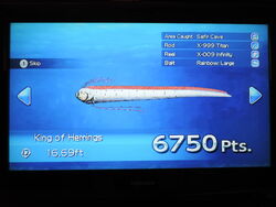 King of Herrings, Wii Fishing Resort Wiki