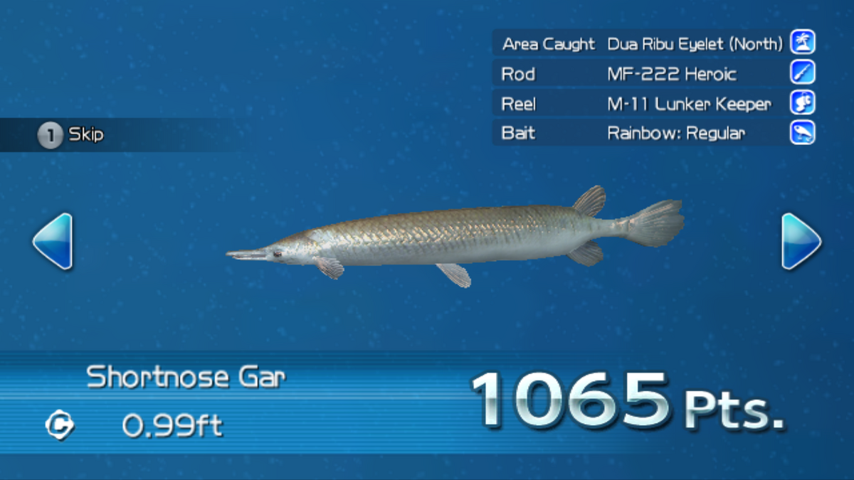 Shortnose Gar, Wii Fishing Resort Wiki