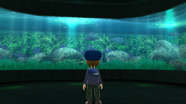 Aquarium, Wii Fishing Resort Wiki