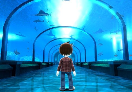 Image Screenshot-Capture-Image-family-fishing-resort-nintendo-wii-09 