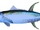 Yellowfin Tuna