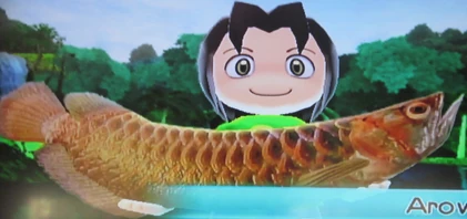 Arowana | Wii Fishing Resort Wiki | Fandom